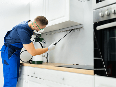 About Bed Bug Treatment Savannah GA - bed bug treatment savannah ga experts in Savannah