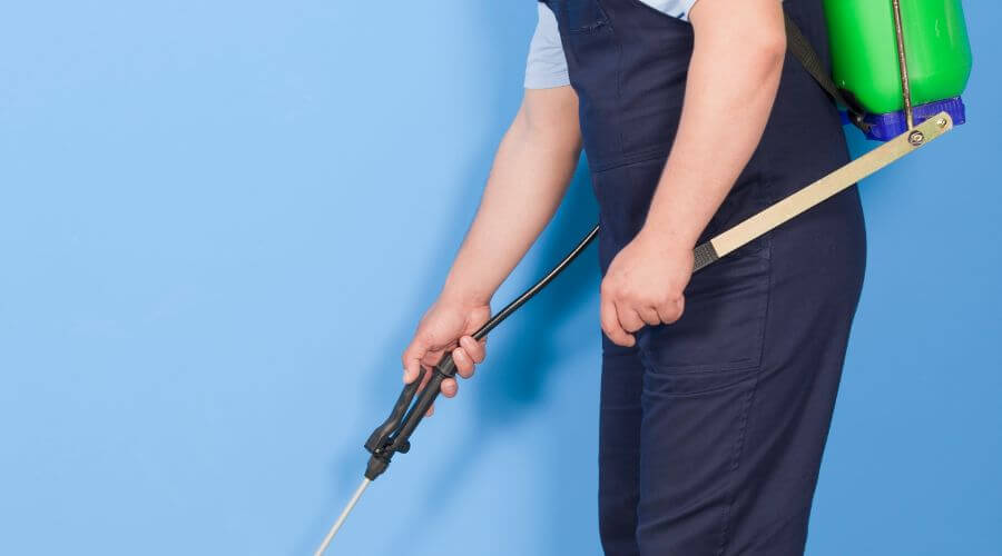 Why choose Bed Bug Treatment Savannah GA for bed bug treatment savannah ga in Savannah